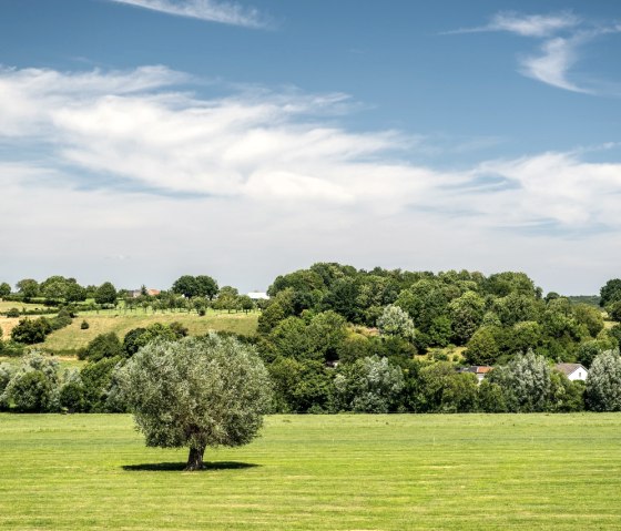 Blick ins Heuvelland bei Vijlen, © StädteRegion Aachen