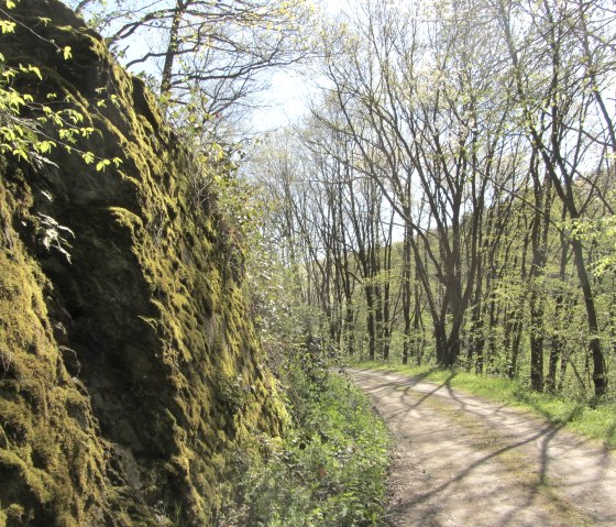 Eifel National Park hiking trail, © StädteRegion Aachen