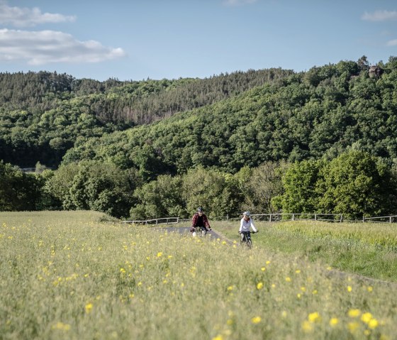 RurUferRadweg bei Blens, © Copyright: Grünmetropole e.V.