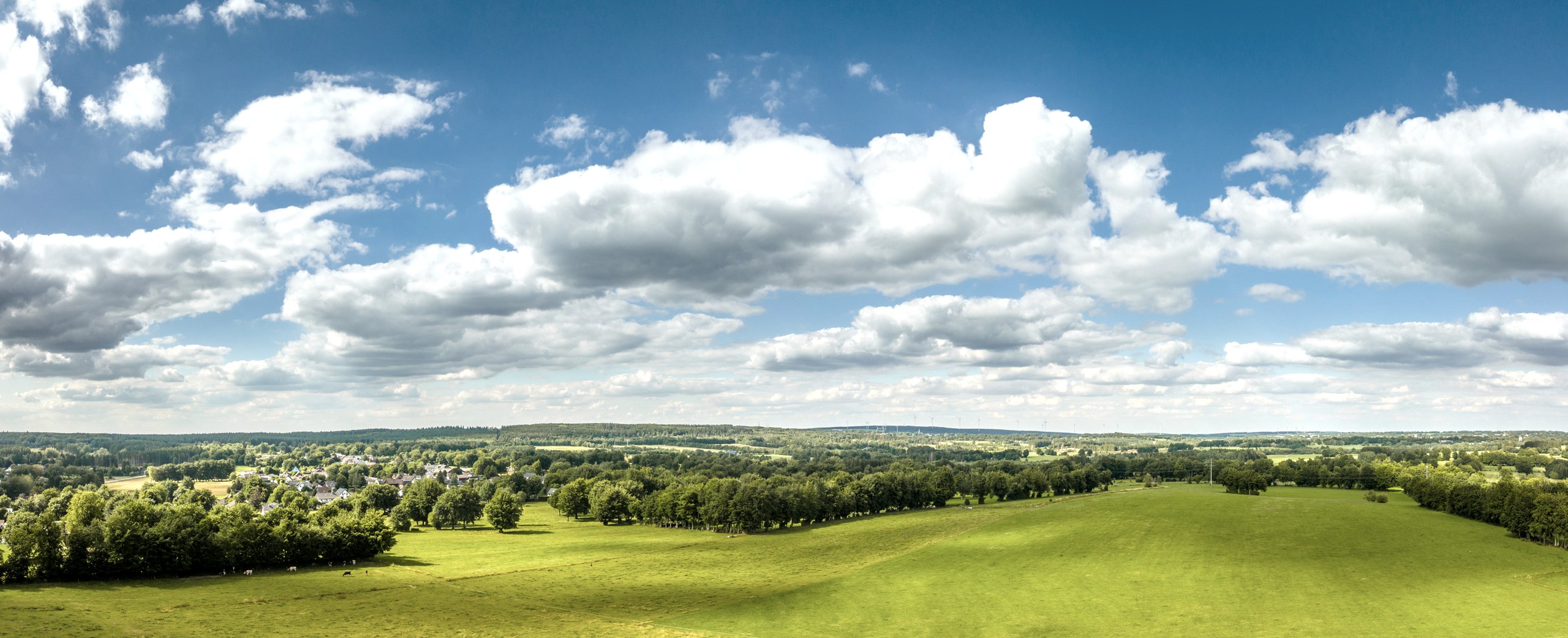 Eifelblick Konzen, © Eifel Tourismus GmbH; Foto: Dominik Ketz