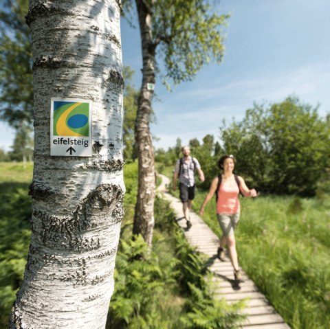 Eifelsteig - Struffelt, © Eifel Tourismus GmbH