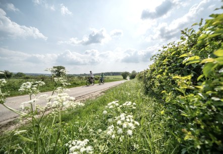 Radweg im Butterländchen, © Eifel Tourismus GmbH