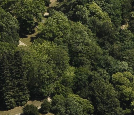 Aachener Wald, © StädteRegion Aachen