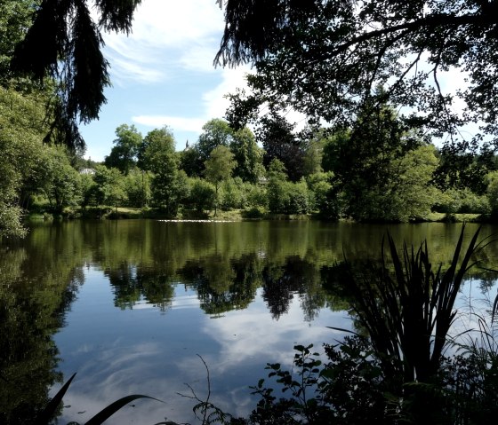 Reichenstein mit seinem idyllisch gelegenen Weiher, © StädteRegion Aachen