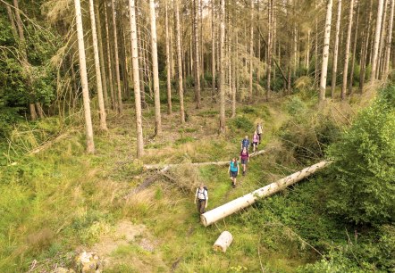 Wanderung mit einem Ranger