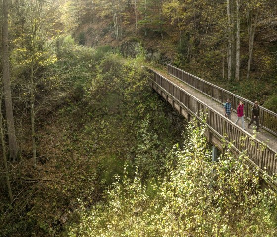 Schrauffweg Püngelbach, © Eifel Tourismus GmbH