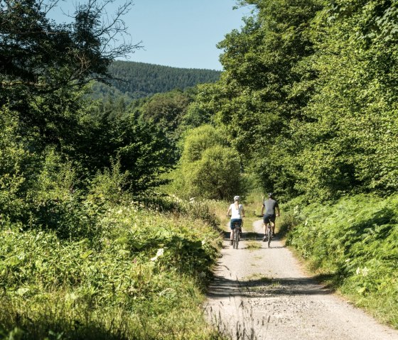 Radfahrer im Rurtal, © StädteRegion Aachen