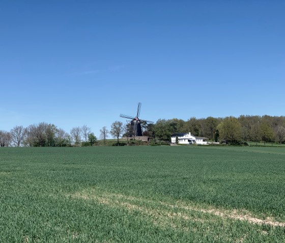 traditionelle Windmühle auf dem Mingelsberg, © StädteRegion Aachen