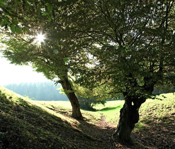 Wurmtal bei Herzogenrath, © Grünmetropole e.V.