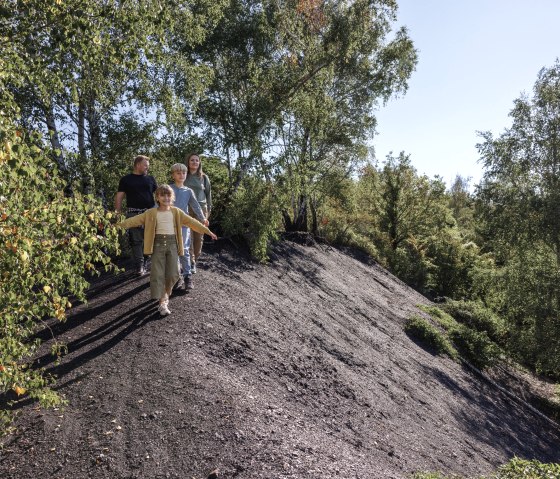 Dinoeier Würselen, © Eifel Tourismus GmbH