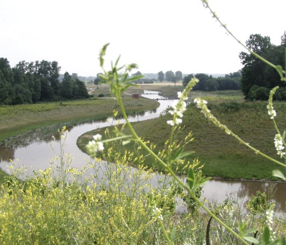 RurUfer-Radweg (Etappe 2) - Von Heimbach bis Jülich, © Grünmetropole e.V.