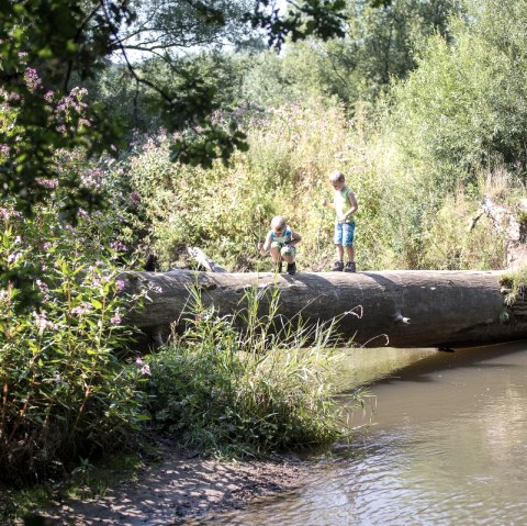 Aan de Geul, © Visit Zuid Limburg