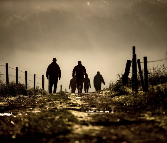 Imstenraderbos-Route, © Visit Zuid Limburg