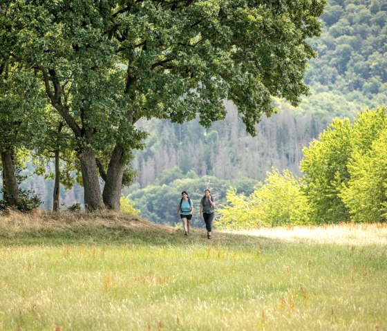 Panoramaweg, © Eifel Tourismus GmbH