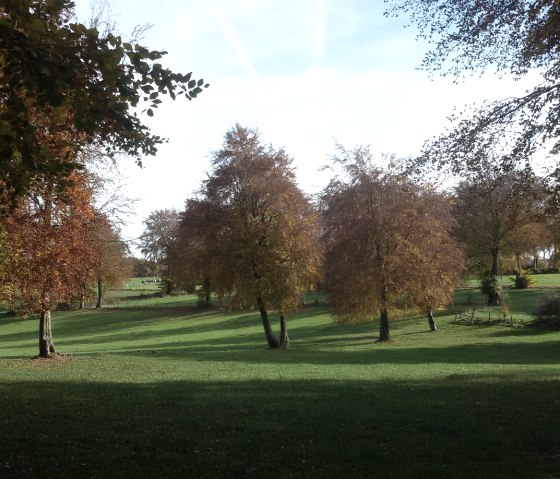 Wiesenlandschaft, © StädteRegion Aachen