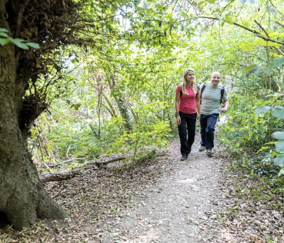 Aachener Wald, © Eifel Tourismus GmbH