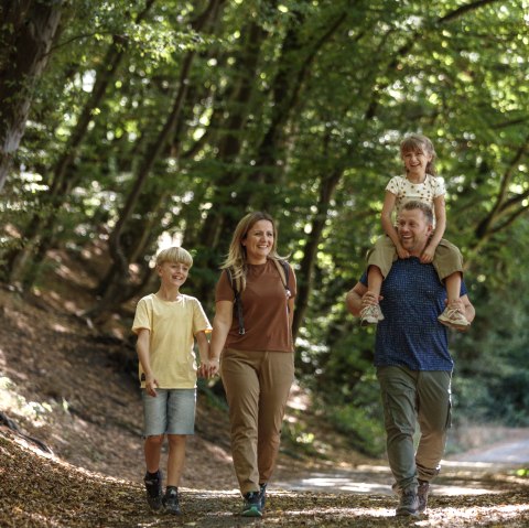 Wandern im Wurmtal, © Eifel Tourismus Gmbh; Foto: Tobias Vollmer