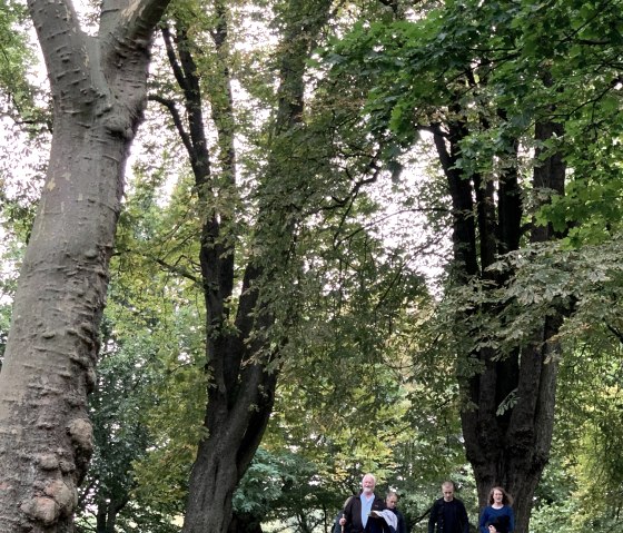 Volksgarten, © StädteRegion Aachen