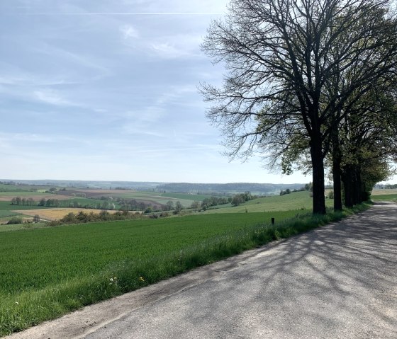 Blick ins Heuvelland, © StädteRegion Aachen