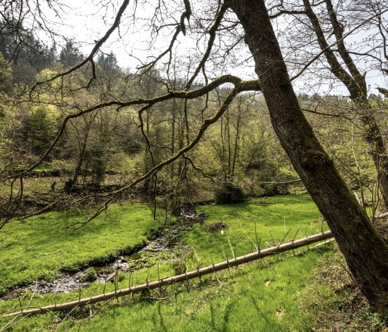 Belgenbachtal, © StädteRegion Aachen