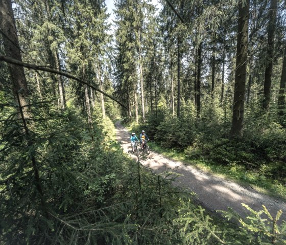 Eifellandschaft bei Kalterherberg, © Eifel Tourismus GmbH