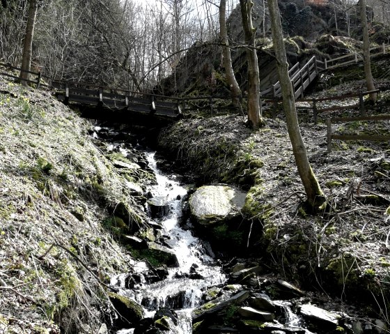 Wilder Gebirgsbach, © Bernd Läufer