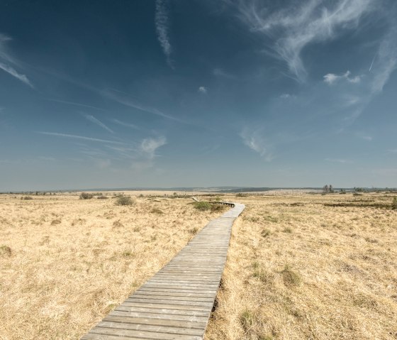 Steg im Hohen Venn, © StädteRegion Aachen