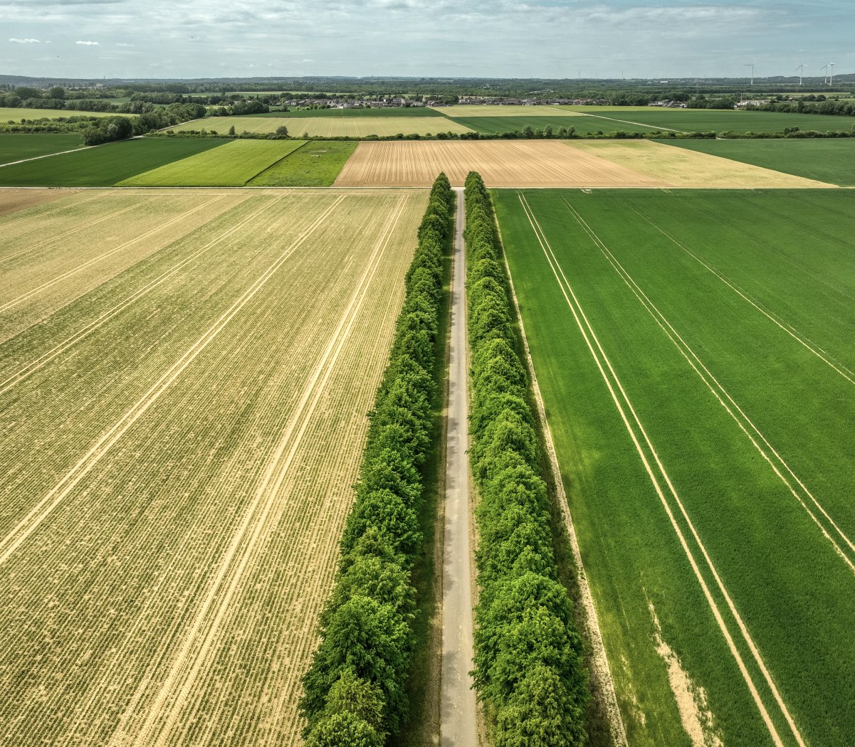 Neu-Lohn Eschweiler, © Dominik Ketz