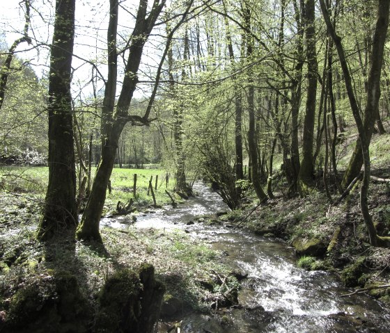 Tiefenbach between Kesternich and Dedenborn, © StädteRegion Aachen