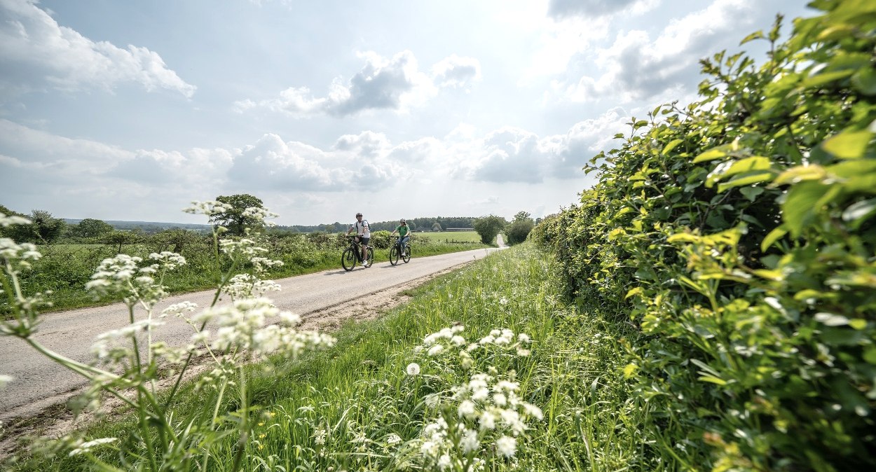 Radweg im Butterländchen, © Eifel Tourismus GmbH