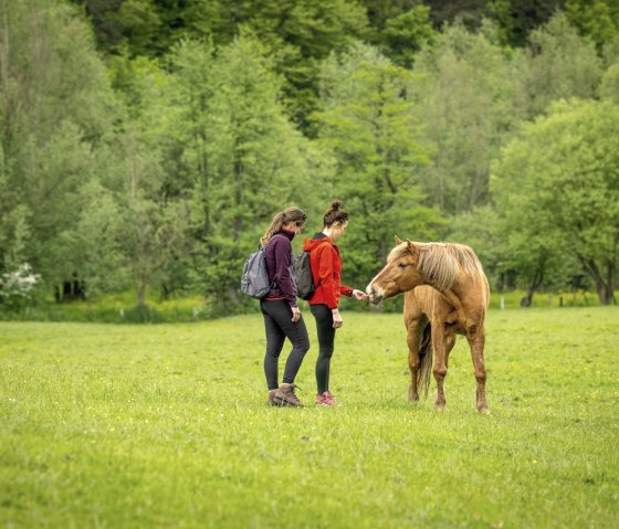 Iterbachtal, © StädteRegion Aachen