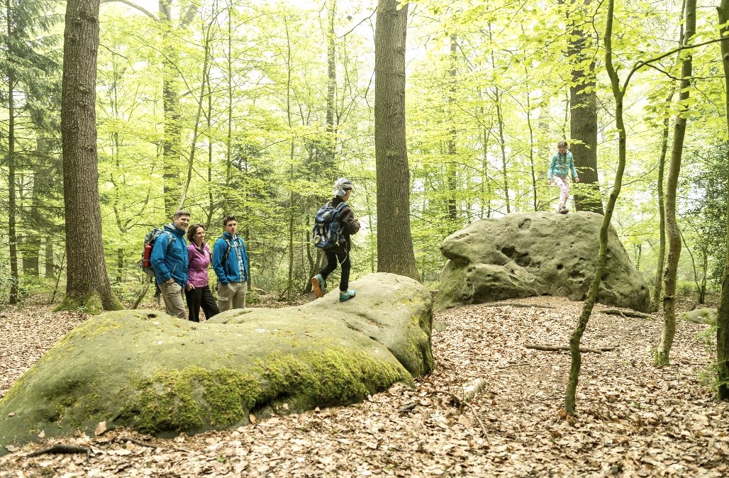 Zyklopensteine, © Grünmetropole e.V.