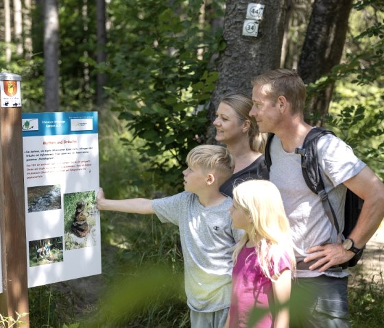 Kaiser-Karl-Weg, © Eifel Tourismus GmbH