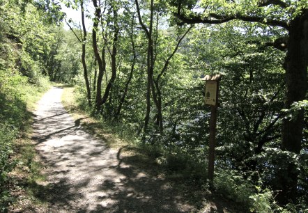 Waldlehrpfad bei Einruhr, © Rursee-Touristik