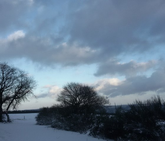 Winterlandschaft Eicherscheidt, © StädteRegion Aachen