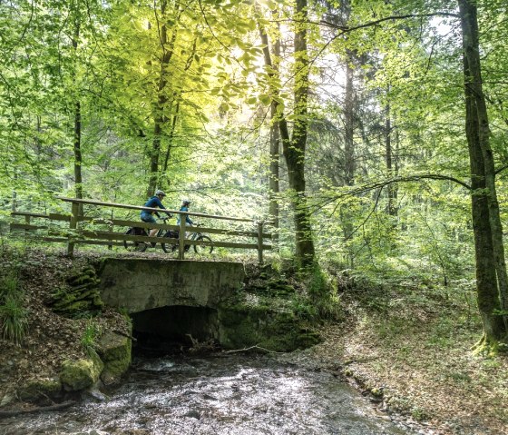 Brücke Erkensrur, © Eifel Tourismus GmbH