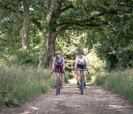 Gravelbiker im Würselner Wald, © StädteRegion Aachen
