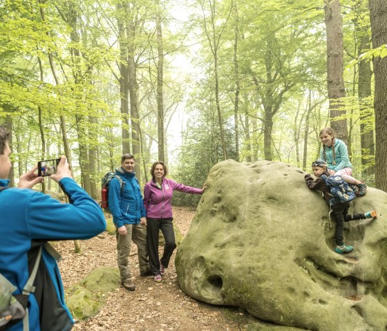 Zyklopensteine Aachener Wald, © StädteRegion Aachen