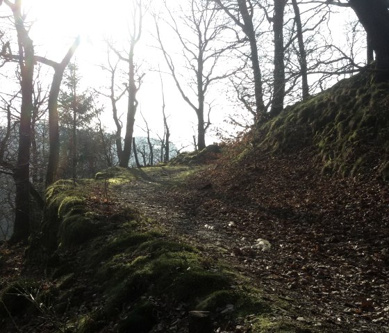 Pfad oberhalb der Rur, © StädteRegion Aachen