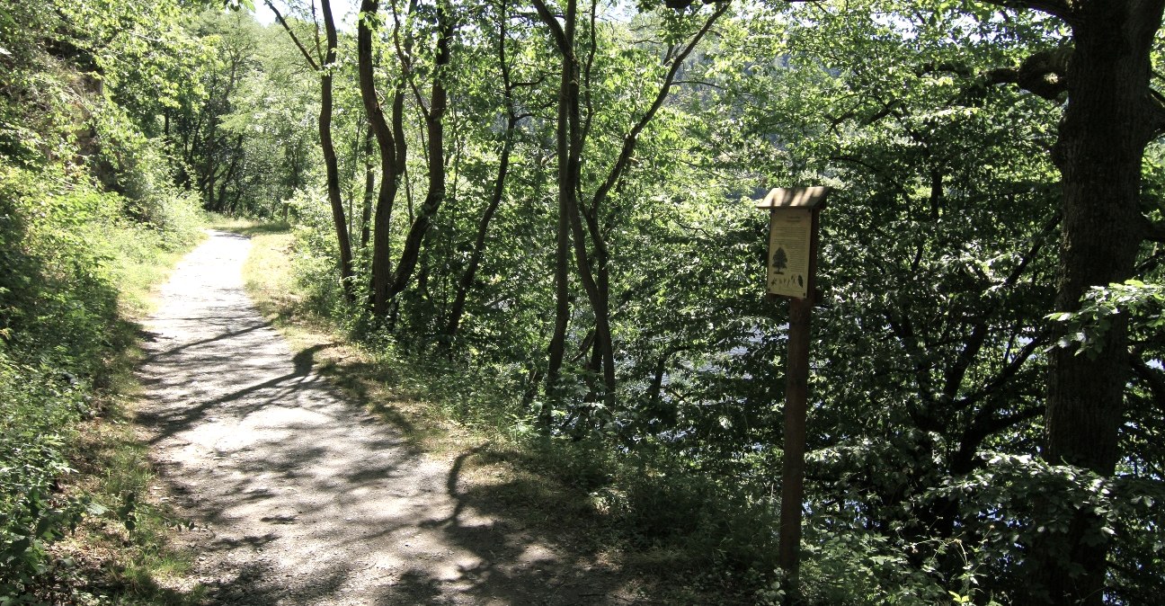 Waldlehrpfad bei Einruhr, © Rursee-Touristik