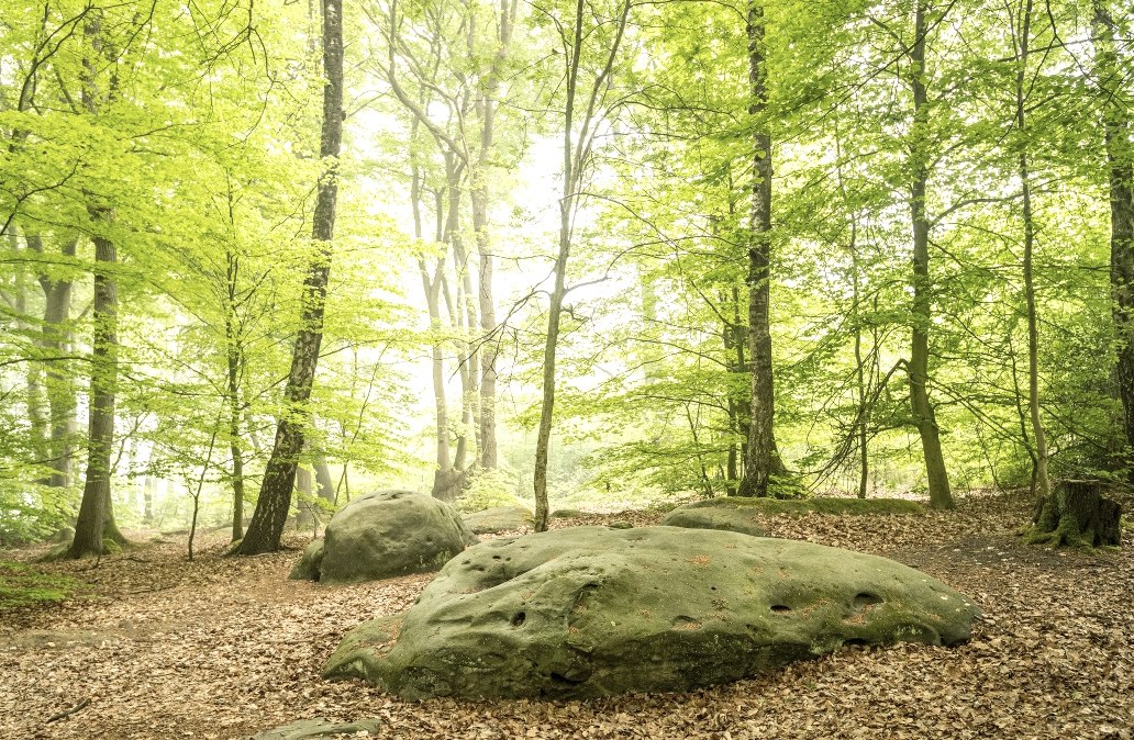 Cyclopean stones, © StädteRegion Aachen