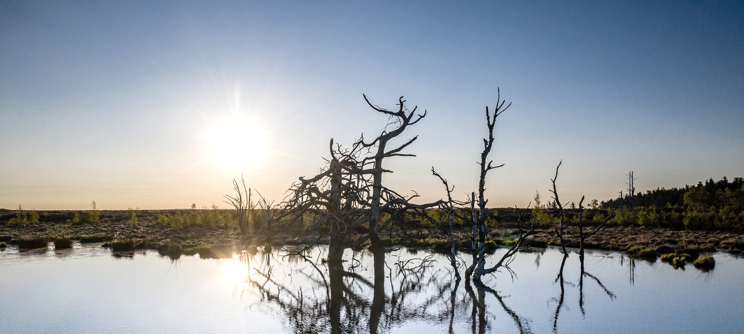 Hohes Venn - Abendstimmung, © Dennis Stratmann