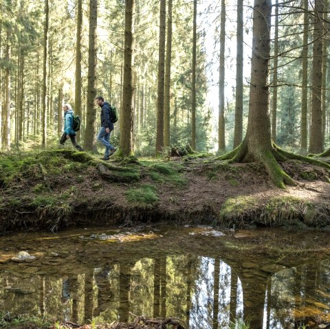 Wesertal bei Roetgen, © StädteRegion Aachen