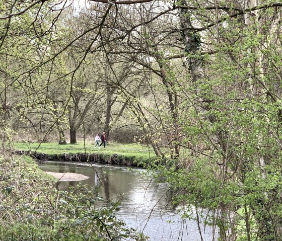 wilde Wurm, © StädteRegion Aachen