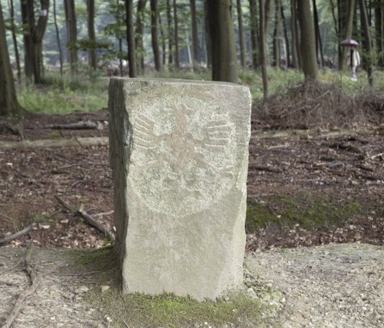 Adlerstein des Aachener Reichs am Moresneter Weg, © Stadt Aachen