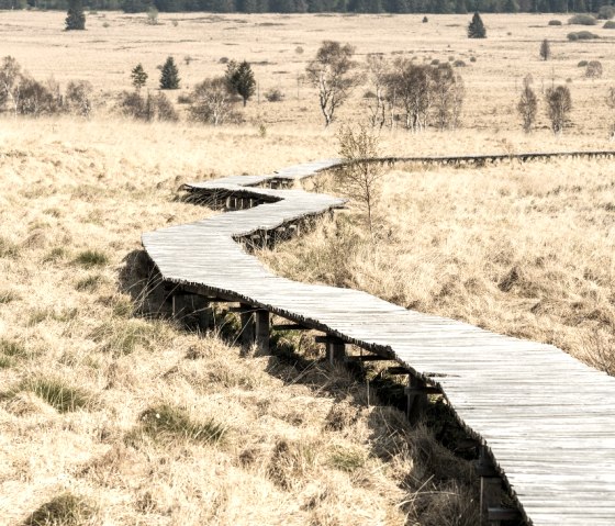 Steg im Hohen Venn, © StädteRegion Aachen