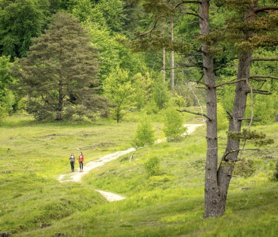 Schlangenberg Stolberg, © Eifel Tourismus GmbH