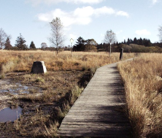 Hohes Venn Steg, © Tourismusagentur Ostbelgien