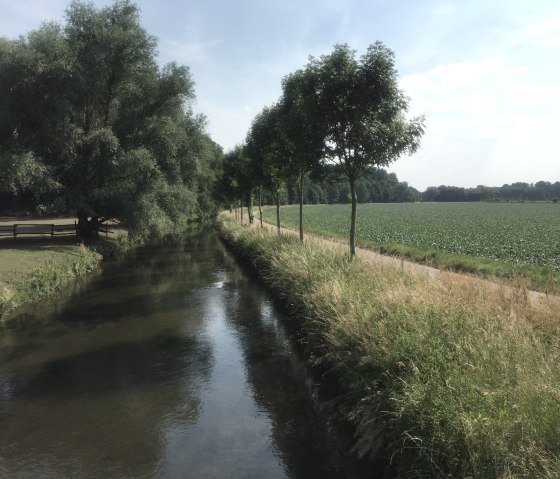 Wurm bei Müllendorf, © StädteRegion Aachen