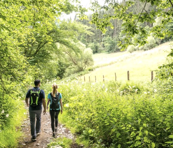 Tiefenbachtal, © Eifel Tourismus GmbH